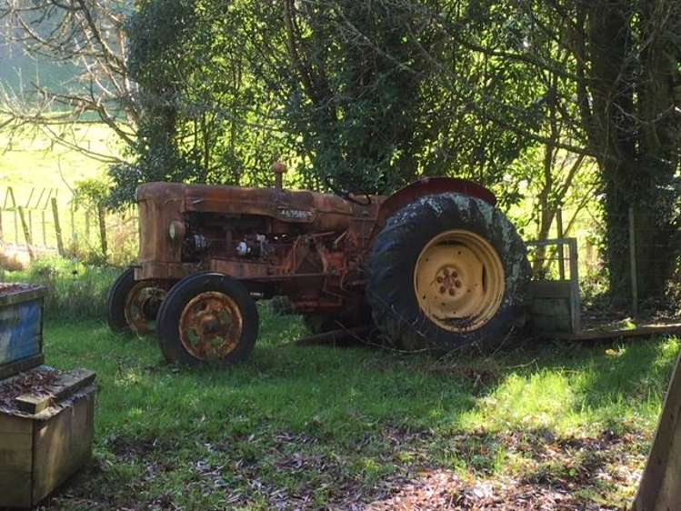 1415 Oparure Road Pomarangai_26