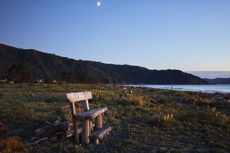 182 Rarangi Beach Road Rarangi_16