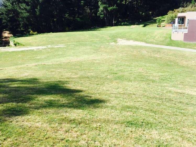 7 Fantail Heights Picton_6