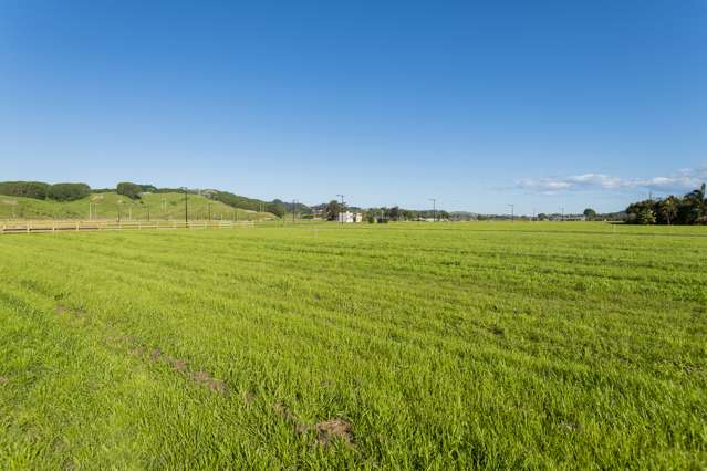 4 Allan Avenue Makauri_4