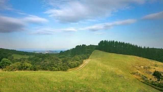 379b Cowes Bay Road Waiheke Island_3