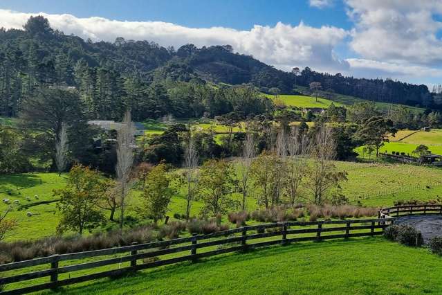 384 Pine Valley Road Dairy Flat_4