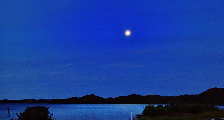 439 State Highway 30 Lake Rotoma_16