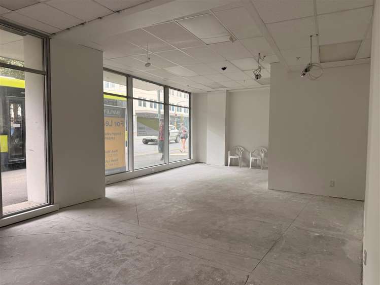 78 Taranaki Street Te Aro_6