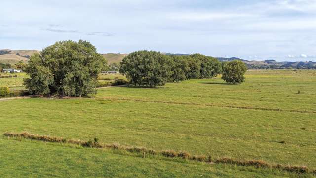 33 and 92 Back Miranda Road Waitakaruru_1