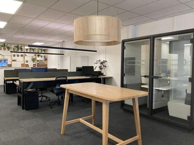 Level 1, 390  Grey Street Hamilton East_2