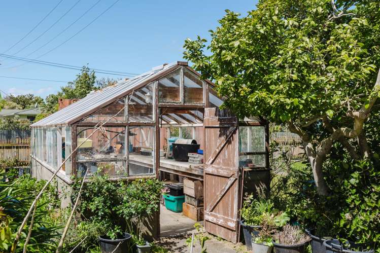 33 Daniell Street Bulls_17