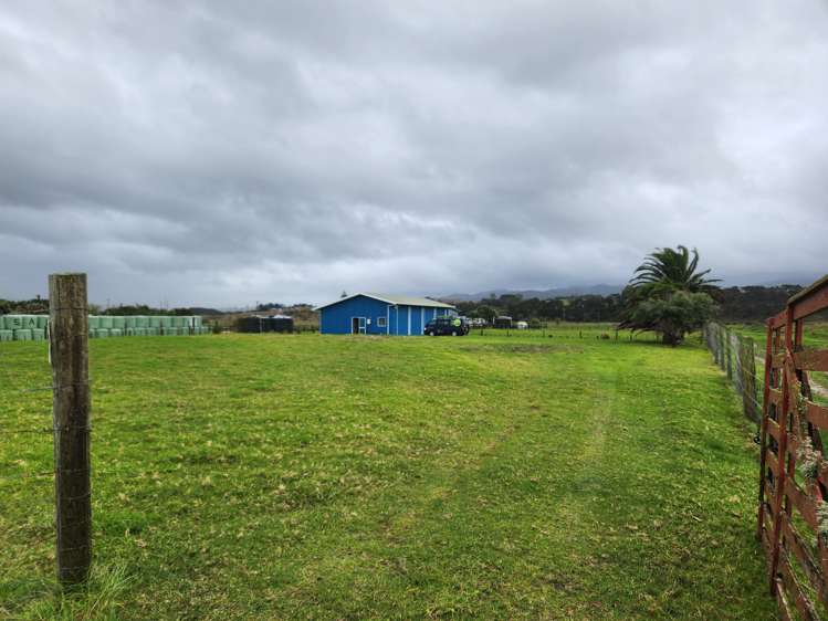 1089 East Coast Road Whakatiwai_8