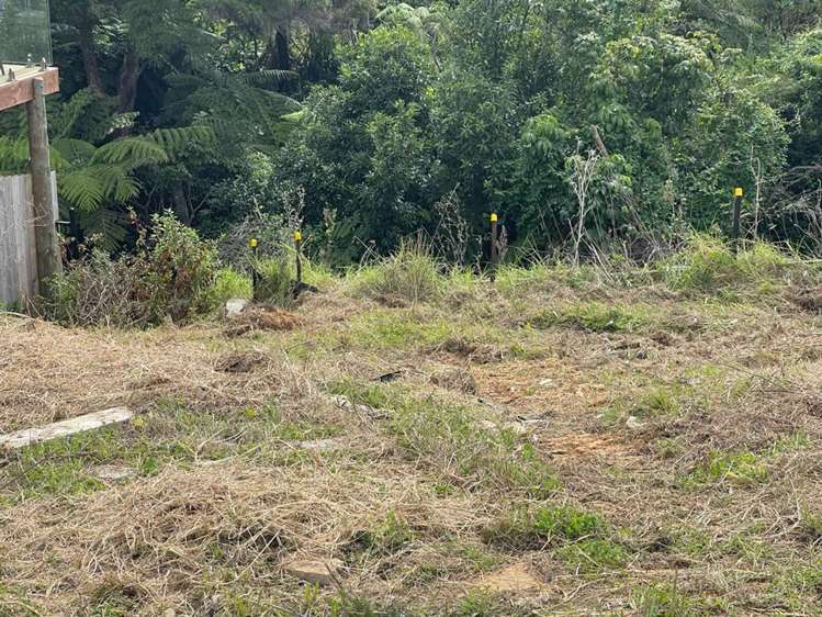 1 Kaimai Avenue Massey_7