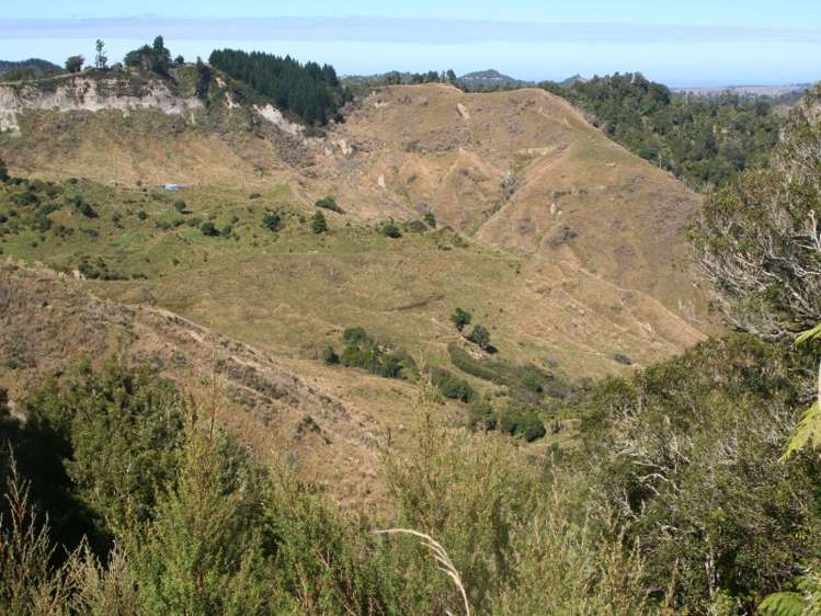 1231 Okahutiria Road Waverley_0