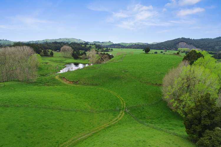 Stone Jug Road Kakahi_10