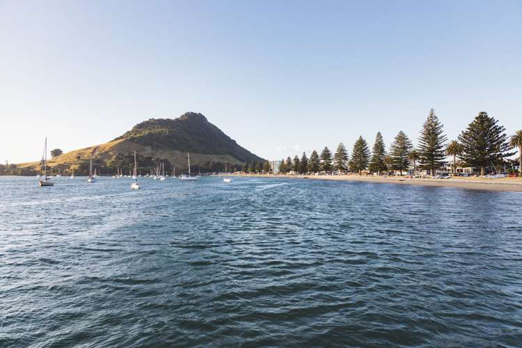 32/281 Maunganui Road Mount Maunganui_21