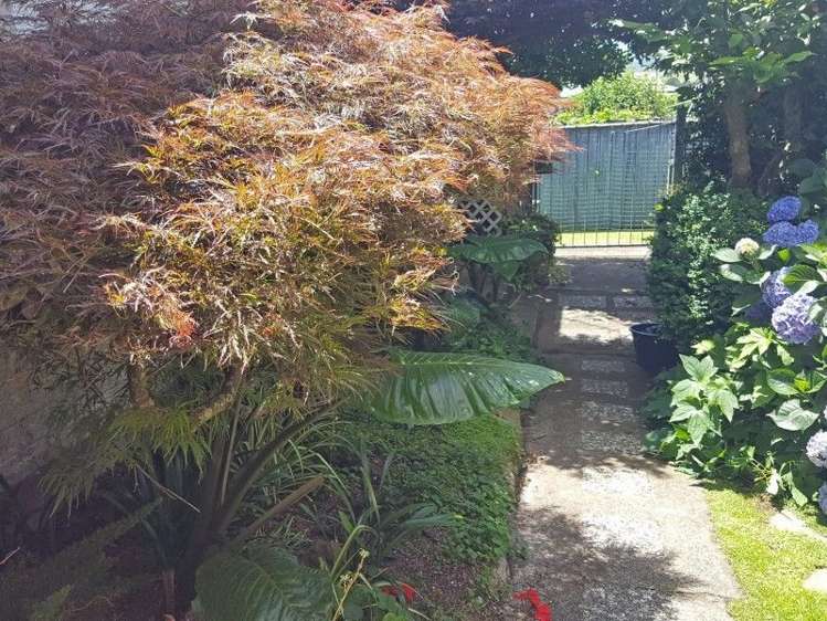 10 Neil Street Paeroa_13