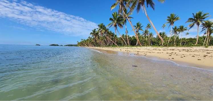 Levukalailai, Savusavu Vanua Levu_2