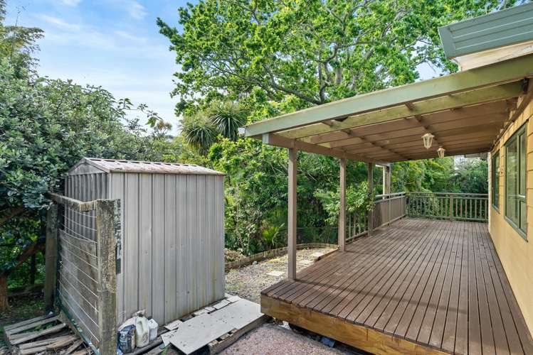 20A Pine Street New Lynn_12