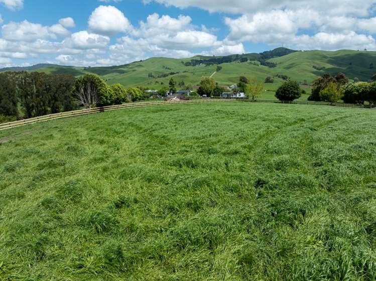 117 Manion Lane Morrinsville_11