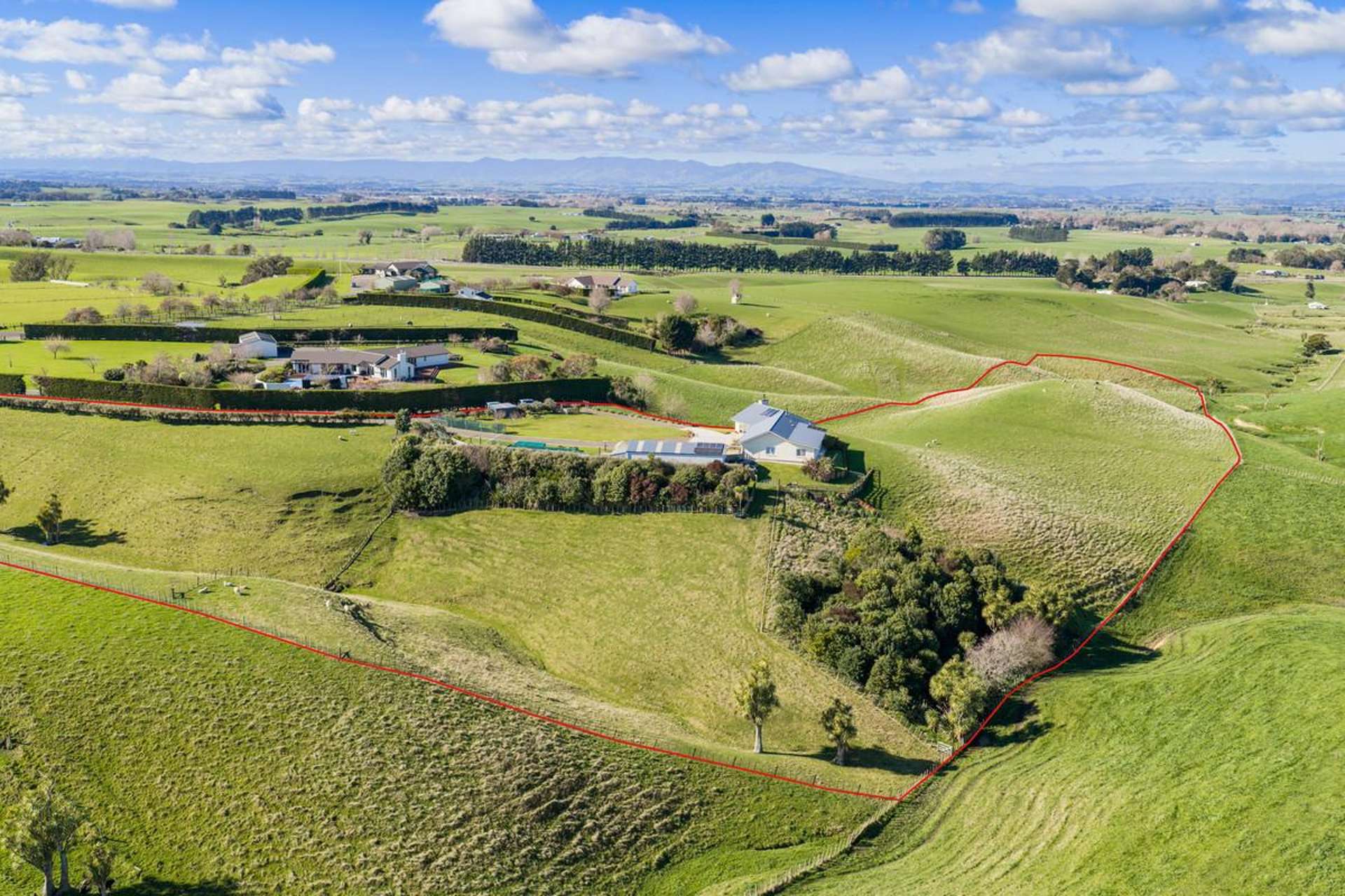 63 Sutherland Road Sanson_0