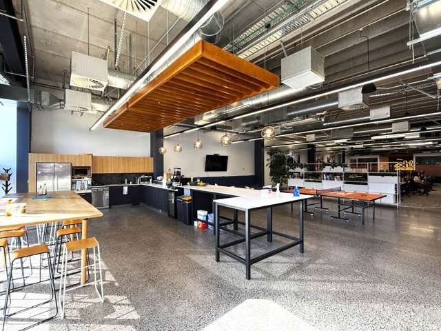 22 Pollen Street Grey Lynn_1