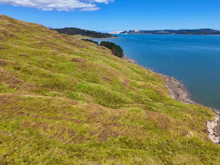 Brindle Road Opononi_16