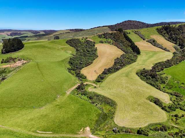 124 Niagara Waikawa Road Tokanui_2