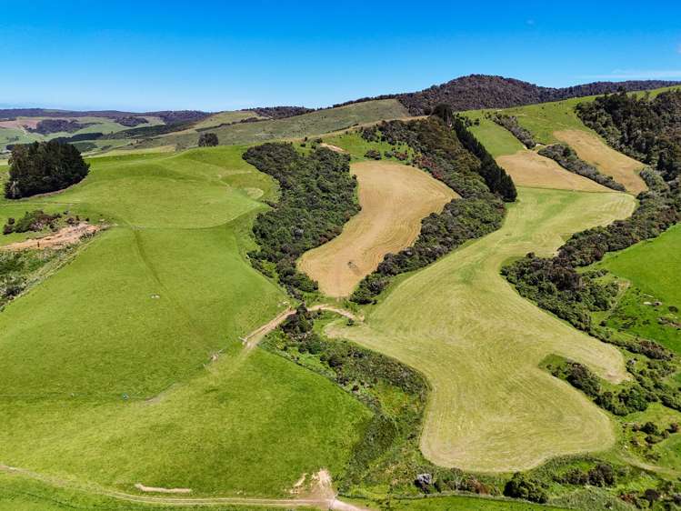 124 Niagara Waikawa Road Tokanui_2