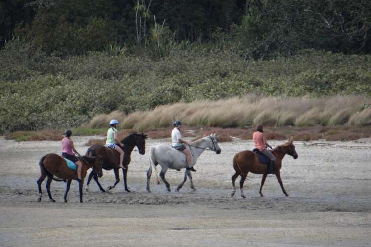 109 Okura River Road Okura_10