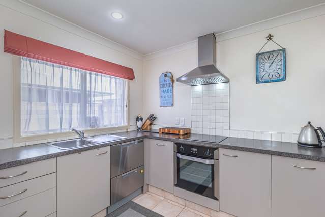 22b Reeve Street Levin_4