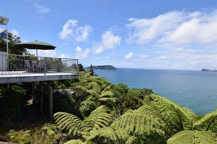 231 Paku Drive Tairua_19