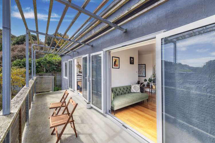 34a Wilberforce Street Miramar_1