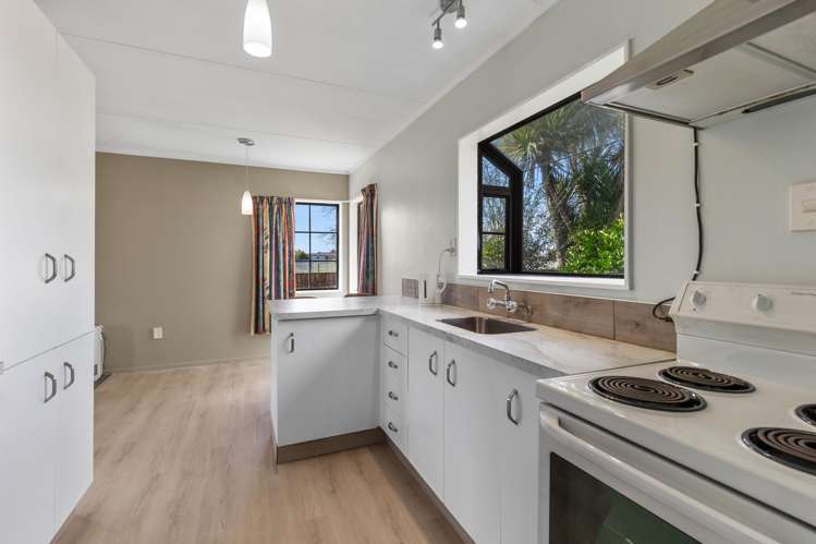 12b Douglas Street Levin_6