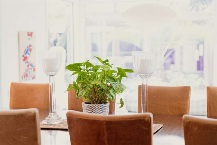 50 Clyde Road Ilam_8