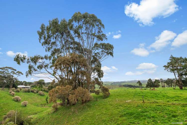 191 Andrews Road Onewhero_6