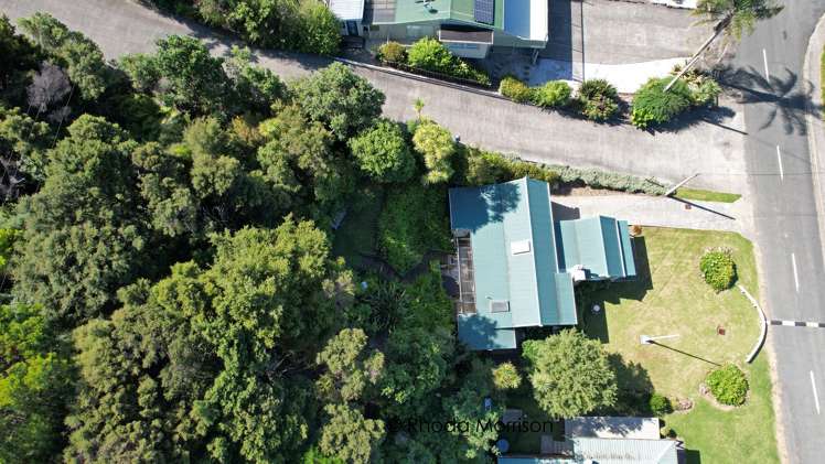 32 Komiti Road Tinopai_39