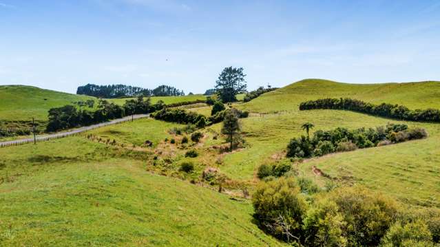 Lot 1 Lincoln Road Inglewood_3