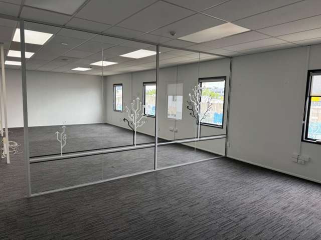 21 Carlyle Street Sydenham_3