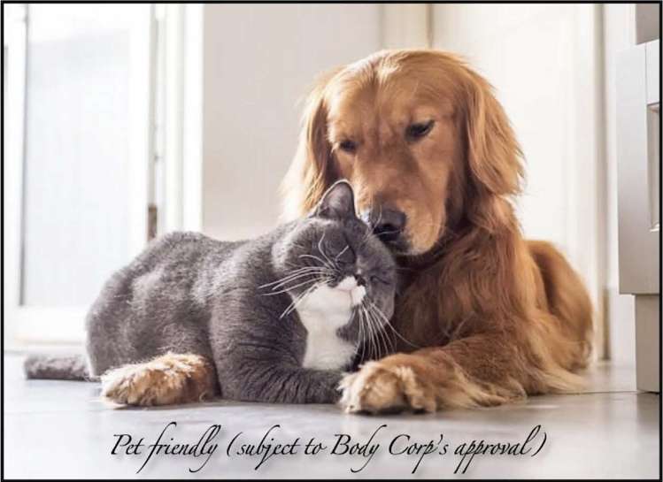 112/81 Mapou Road Hobsonville_20