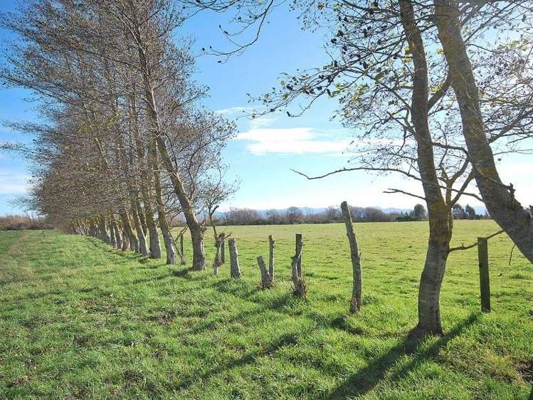 19 Matapihi Road Masterton_23