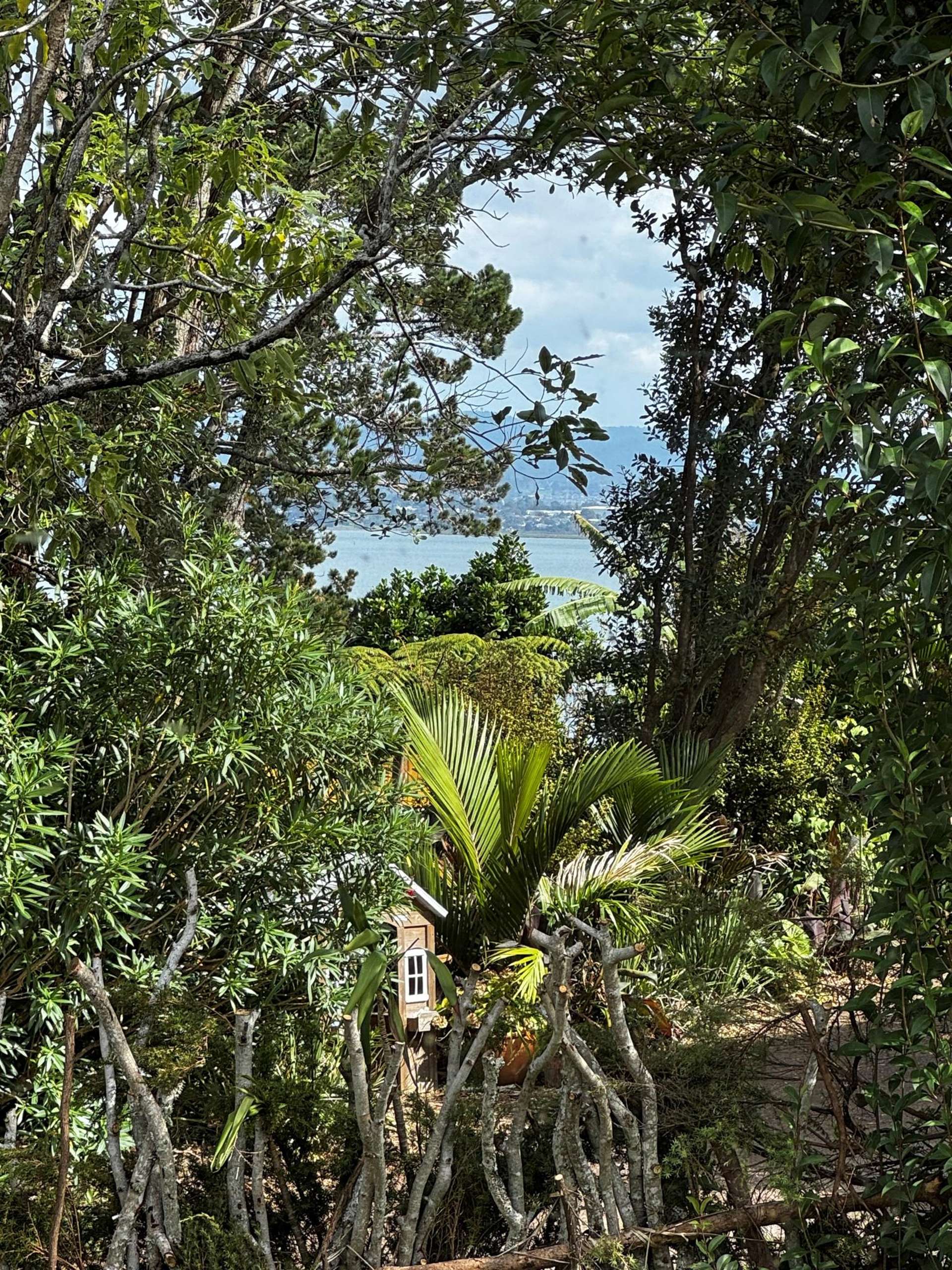 2/31 Sispara Place Beach Haven_0