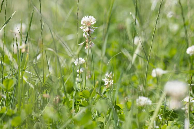 1108 Tokatoka Road Ruawai_5