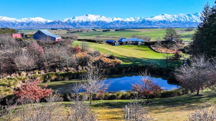 472 Mount Michael Valley Road Fairlie_26