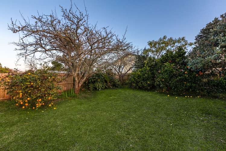 20 Woodvale Road Glen Eden_19