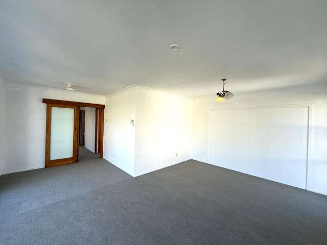 21 Littlejohn Street Hillsborough_4
