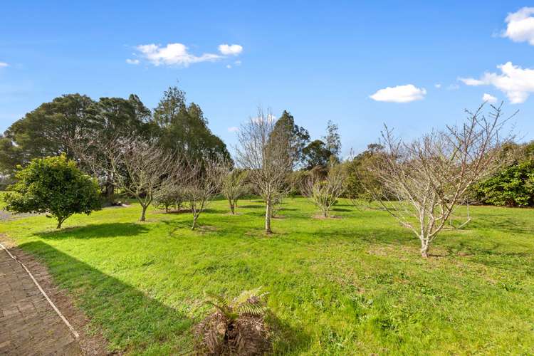 983 Highway Pukekawa_16