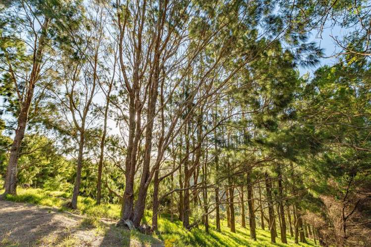 79-85 Awaawaroa Road Waiheke Island_8