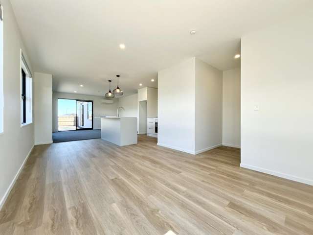 17 Larch Drive Rolleston_4