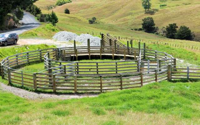 376 Opanake Road Dargaville Surrounds_2