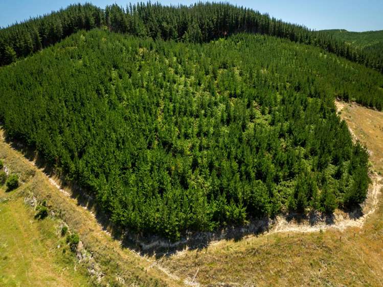 240 Teapot Valley Road Brightwater_3