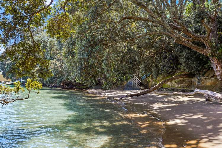 3/67 Sarsfield Street Herne Bay_22