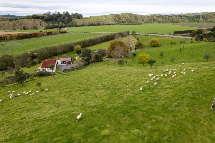 2212 Matawai Road Te Karaka_6