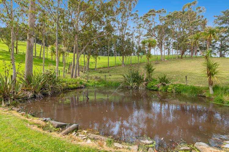 589 Inland Road Helensville_10